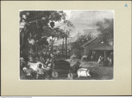 Vorderseite von bh247008_recto