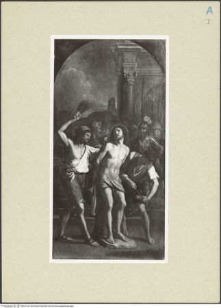 Vorderseite von bh247016_recto