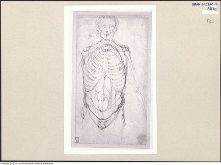 Vorderseite von bh247037_recto