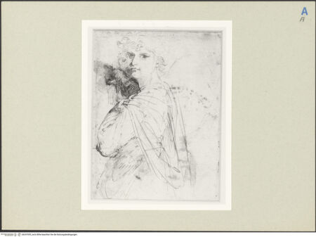 Vorderseite von bh247055_recto