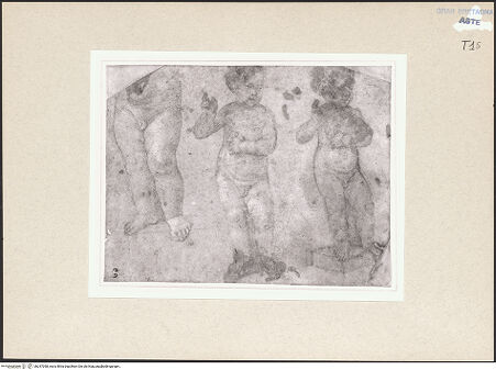 Vorderseite von bh247058_recto