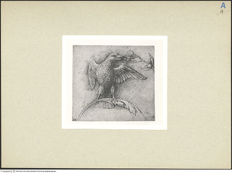 Vorderseite von bh247062_recto