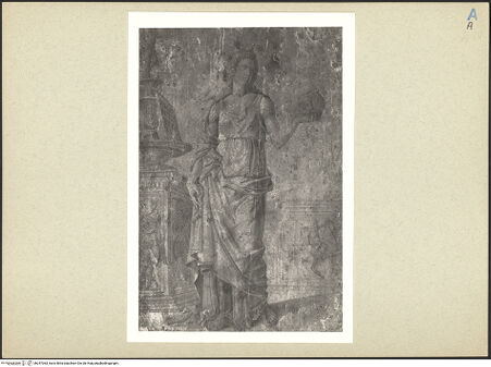 Vorderseite von bh247063_recto