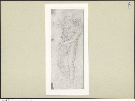 Vorderseite von bh247070_recto