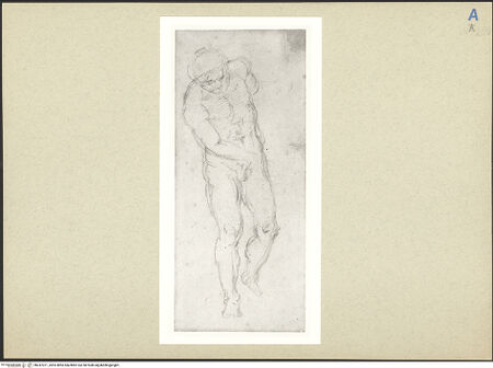 Vorderseite von bh247071_recto