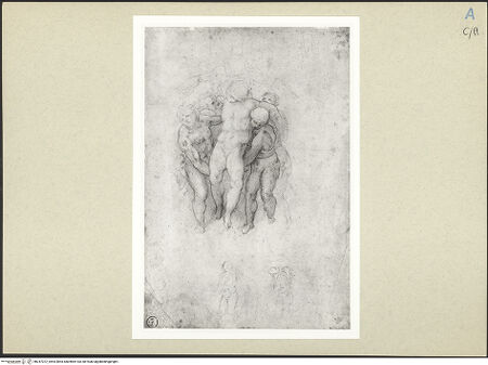 Vorderseite von bh247072_recto