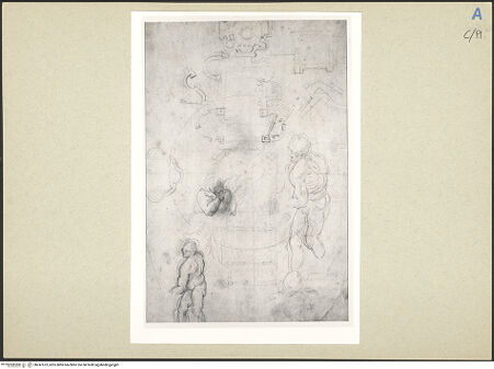 Vorderseite von bh247073_recto