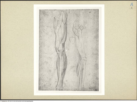 Vorderseite von bh247074_recto