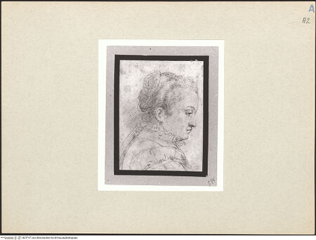 Vorderseite von bh247107_recto