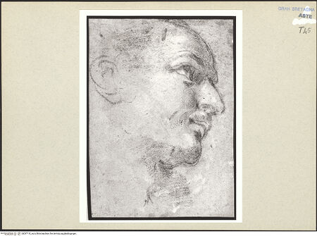 Vorderseite von bh247110_recto