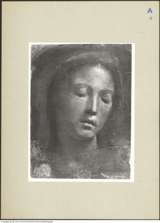 Vorderseite von bh247153_recto