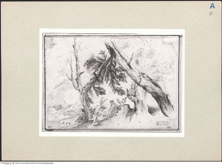 Vorderseite von bh247159_recto