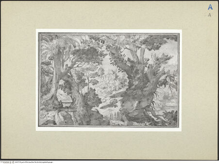 Vorderseite von bh247216_recto