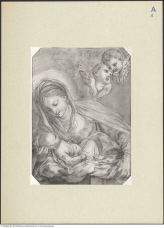 Vorderseite von bh247220_recto