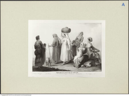 Vorderseite von bh247229_recto