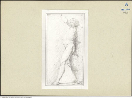 Vorderseite von bh247236_recto