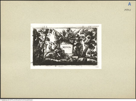 Vorderseite von bh247241_recto