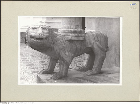 Vorderseite von Pace, Valentino [https://www.deutsche-digitale-bibliothek.de/content/lizenzen/rv-ez/] Löwen - Löwe links, bh247261_recto. Foto: Pace, Valentino.