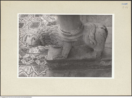 Vorderseite von Pace, Valentino [https://www.deutsche-digitale-bibliothek.de/content/lizenzen/rv-ez/] Löwen - Löwe links, von oben, bh247263_recto. Foto: Pace, Valentino.