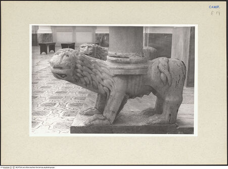 Vorderseite von Pace, Valentino [https://www.deutsche-digitale-bibliothek.de/content/lizenzen/rv-ez/] Löwen - Löwe rechts, bh247264_recto. Foto: Pace, Valentino.