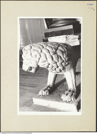 Vorderseite von Pace, Valentino [https://www.deutsche-digitale-bibliothek.de/content/lizenzen/rv-ez/] Löwe - Detail: Kopf, bh247274_recto. Foto: Pace, Valentino.