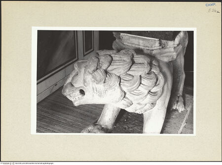 Vorderseite von Pace, Valentino [https://www.deutsche-digitale-bibliothek.de/content/lizenzen/rv-ez/] Löwe - Detail: Kopf, bh247280_recto. Foto: Pace, Valentino.