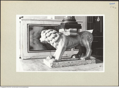 Vorderseite von Pace, Valentino [https://www.deutsche-digitale-bibliothek.de/content/lizenzen/rv-ez/] Löwe - Gesamtansicht von rechts, bh247281_recto. Foto: Pace, Valentino.