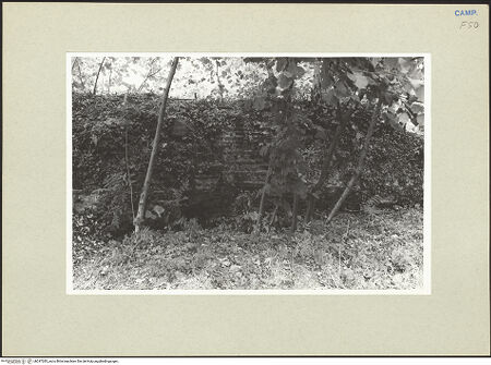 Vorderseite von Pace, Valentino [https://www.deutsche-digitale-bibliothek.de/content/lizenzen/rv-ez/] Episcopio - Ruine des Palastes?, bh247285_recto. Foto: Pace, Valentino.