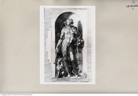 Vorderseite von bh247394