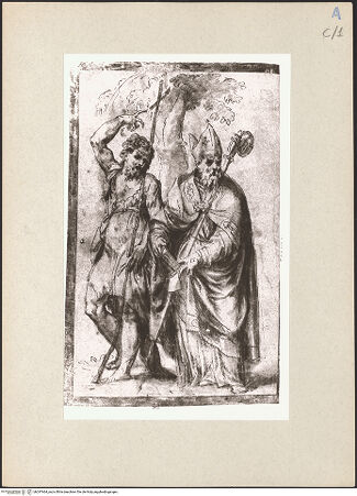 Vorderseite von bh247464_recto