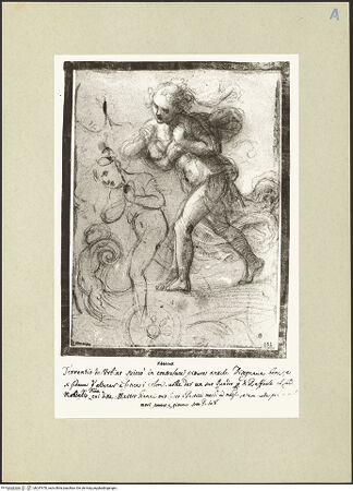 Vorderseite von bh247470_recto