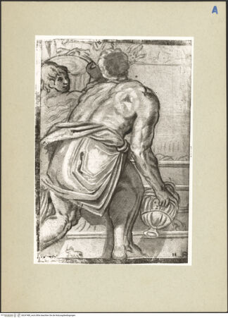 Vorderseite von bh247480_recto