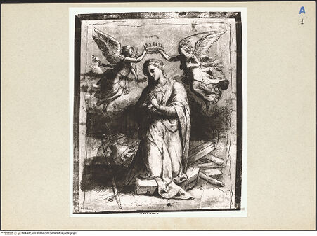 Vorderseite von bh247482_recto