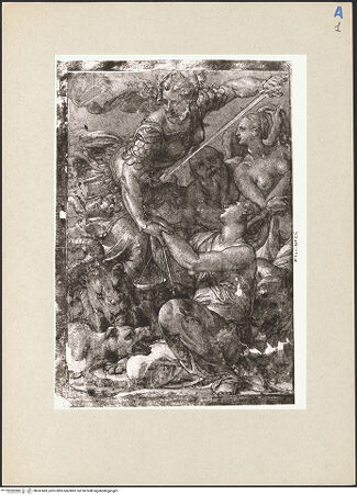 Vorderseite von bh247483_recto