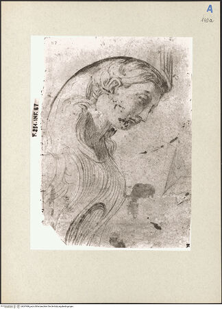 Vorderseite von bh247486_recto