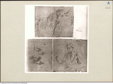 Vorderseite von bh247487_recto