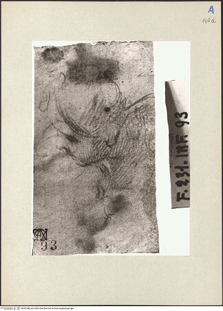 Vorderseite von bh247490_recto