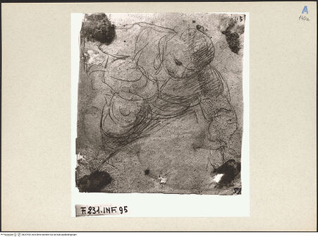 Vorderseite von bh247492_recto