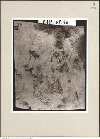 Vorderseite von bh247494_recto