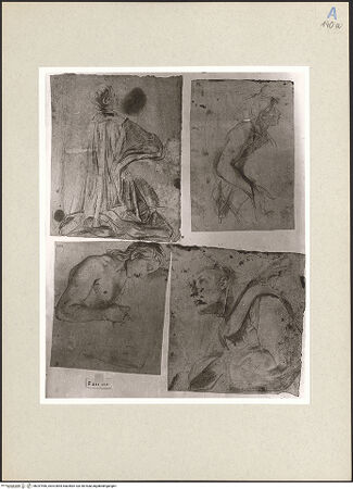 Vorderseite von bh247496_recto