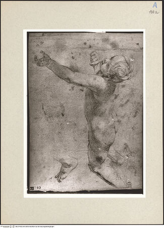 Vorderseite von bh247498_recto