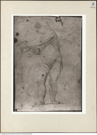 Vorderseite von bh247499_recto