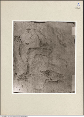 Vorderseite von bh247503_recto