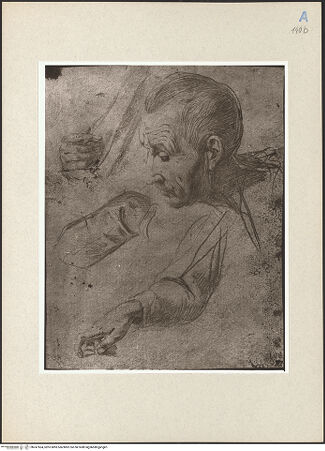 Vorderseite von bh247504_recto