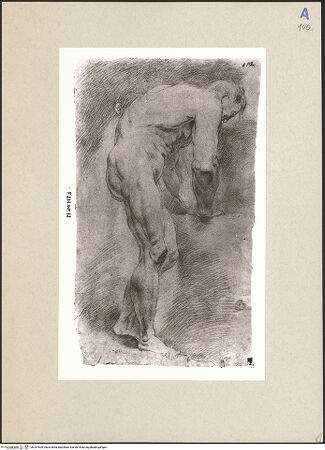 Vorderseite von bh247509_recto