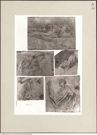 Vorderseite von bh247511_recto