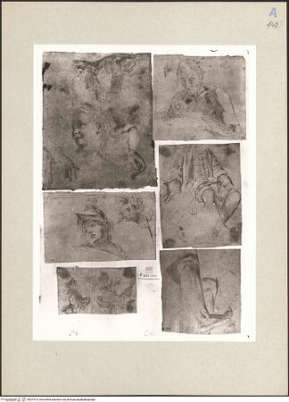 Vorderseite von bh247513_recto