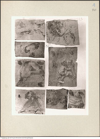 Vorderseite von bh247514_recto