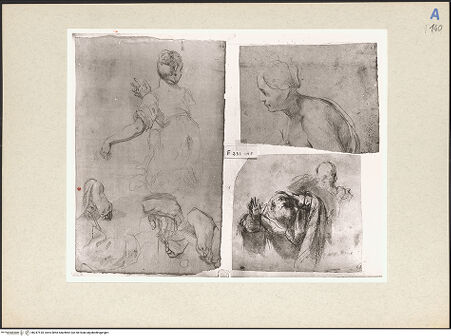 Vorderseite von bh247518_recto