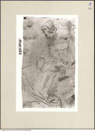 Vorderseite von bh247523_recto